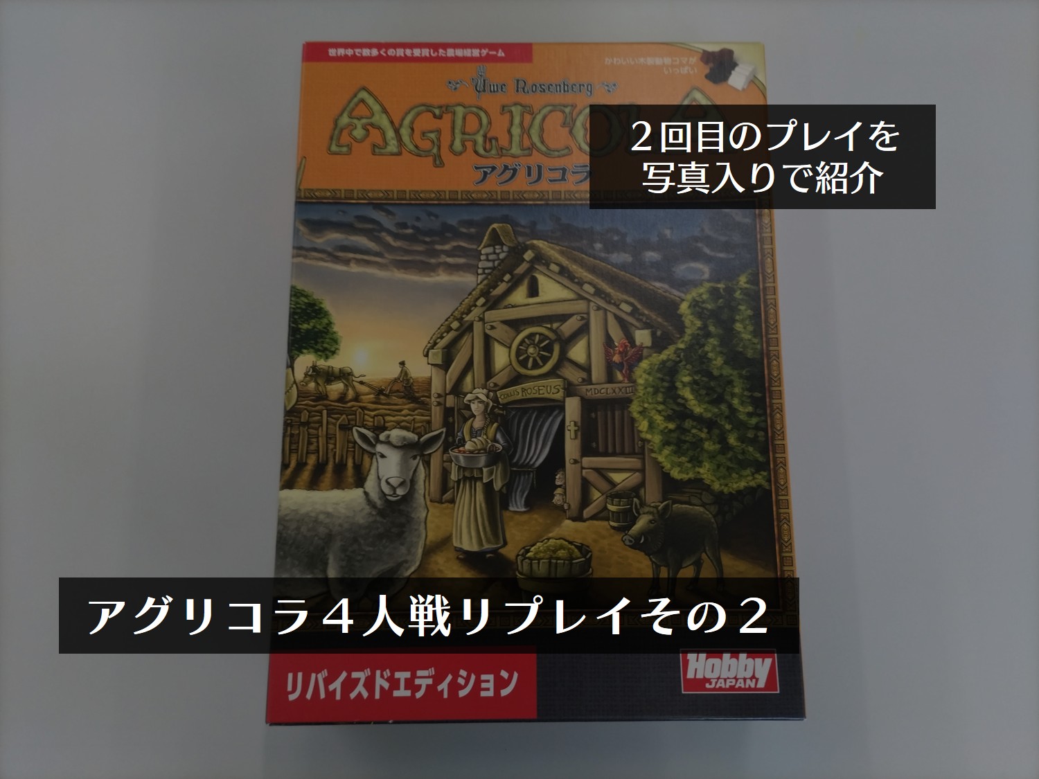 アグリコラ４人戦リプレイ：２回目のプレイで戦略はどう変わったか